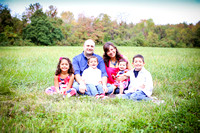 Kirlangitis Family